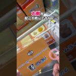 【クレーンゲーム　ゲーセン店員】2回で取れた時の再現チャレンジ＆解説しちゃいます！【山梨 クレーンゲーム 倉庫】