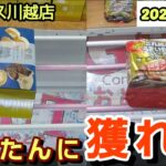 【月刊ベネクス川越店】クレーンゲーム日本一獲れるお店で簡単に景品の取るコツを紹介 #2025年2月