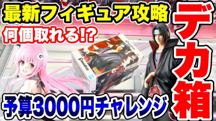 【クレーンゲーム】最新プライズフィギュア登場初日にデカ箱に挑戦！予算3000円で何個攻略できる！？ #橋渡し設定  #UFOキャッチャー  #クレーンゲーム