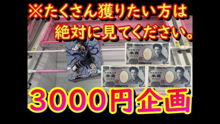 【3000円企画】こちらの地域では2月の中旬に新年が明けました！【クレーンゲーム】