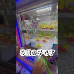 スポンジボブ救出作戦！5歳の子が挑むクレーンゲーム【crane family】 #ミニクレーンゲーム