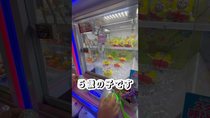 スポンジボブ救出作戦！5歳の子が挑むクレーンゲーム【crane family】 #ミニクレーンゲーム