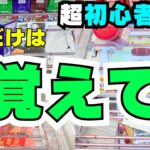 【超初心者向けまとめ】これだけは覚えてほしい！8割のお菓子の取り方基礎から丸わかり【UFOキャッチャー攻略】【クレーンゲームコツ】