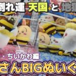 ちいかわハチさんBIGぬいぐるみ☆ ちいかわ・ハチワレ編！！まさに天国と地獄…【クレーンゲーム】