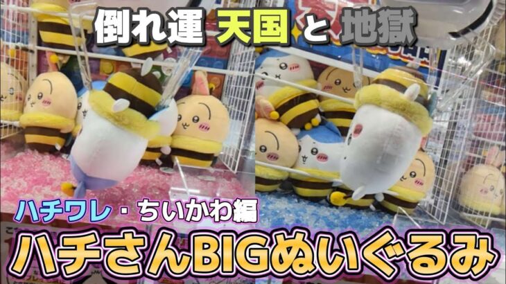 ちいかわハチさんBIGぬいぐるみ☆ ちいかわ・ハチワレ編！！まさに天国と地獄…【クレーンゲーム】