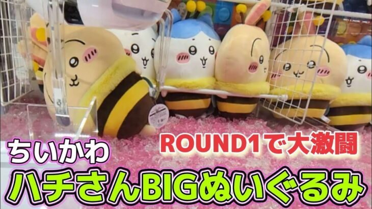 ちいかわハチさんBIGぬいぐるみ☆ ROUND1でうさぎと大激闘！！【クレーンゲーム】