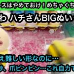 こんなブースはやめておけ！ちいかわ ハチさんBIGぬいぐるみはやっぱり難しかった…【ちいかわ】【クレーンゲーム】【인형뽑기】【JapaneseClawMachine】【日本夾娃娃】