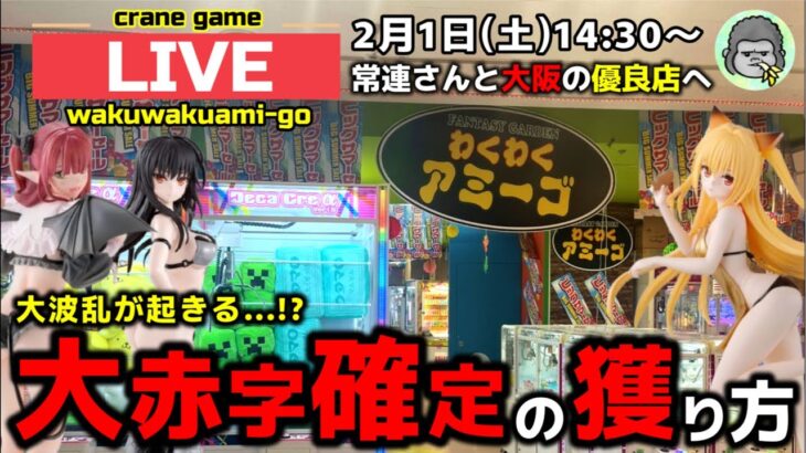 【クレーンゲーム】大阪の優良店で大波乱が起きる！？常連さんに聞く大赤字確定の獲り方！【ちゃんDちゃんねる・わくわくアミーゴ尾崎店・UFOキャッチャー】