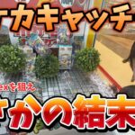 クレーンゲームでポケモンカードを狙う！最後にまさかの結末！こんなことあるんだね！＃ポケカ＃テラスタルEX