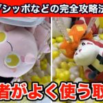 【クレーンゲーム】新作ポケモンのサケブシッポなどを確率無視でGETできる神テク！