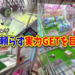 【大波乱】サンリオ景品を実力GET目指した結果がエグかった…!!【クレーンゲーム、ハンギョドン推し】