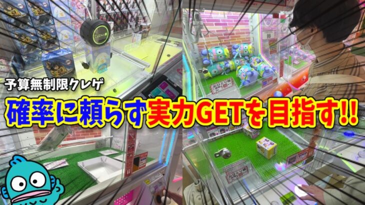 【大波乱】サンリオ景品を実力GET目指した結果がエグかった…!!【クレーンゲーム、ハンギョドン推し】