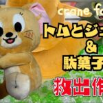 トムとジェリーのぬいぐるみ & 駄菓子箱救出作戦！可愛い景品をGETせよ！【crane family】