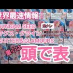 クレーンゲーム　ベネクス川越　重心情報　GUNDAM　SEED　ラクス　グリグラ　完全クレゲ宣言　チャンネル登録お願いします　フィギュア　プライズ　買取　秋葉原