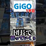 GiGOで人気景品取ってみた！なに手でとれるかな？　#ufoキャッチャー #GiGO #ハンターハンター #クロロ団長