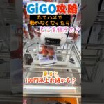 縦ハメで動かなくなったらどこ狙うと良いの？GiGO攻略　#ufoキャッチャー #ゲームセンター #クレーンゲーム　#gigo