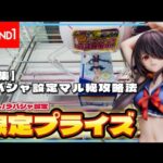 クレーンゲーム講座:限定プライズを取りながら、ラバシャも完全攻略しとこ？《 #ROUND1》《 #ラウンドワン》