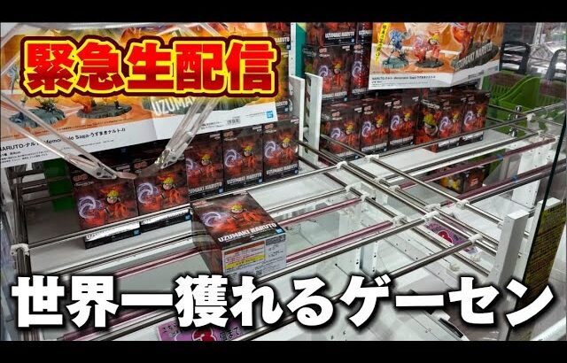 【クレーンゲーム】新景品追っかけます！【千葉鑑定団松戸店・しゃけクレーン・UFOキャッチャー】