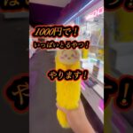 俺の本気見せてやんよ#クレーンゲーム#お菓子#UFOキャッチャー#ゲームセンター#クレーンゲーム攻略