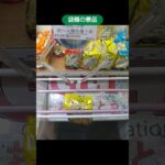 ベネクス川越店で袋麺の景品を４袋ゲット #shorts