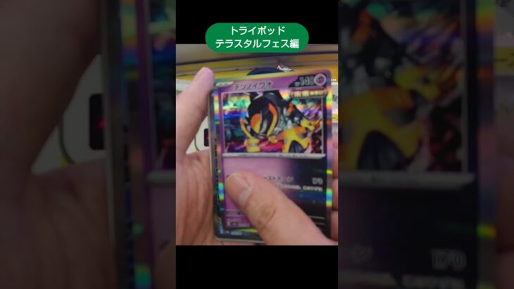 トライポッドでポケモンカード「テラスタルフェス」の高額カードをゲットなるか！？ #shorts