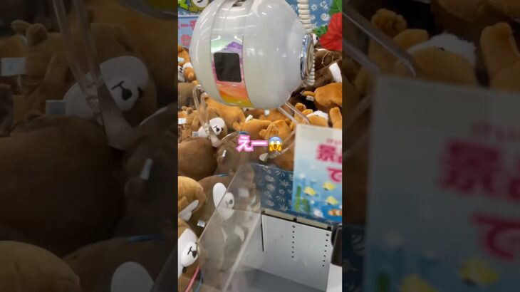 クレーンゲームやってみた #shorts #クレーンゲーム #クレーンゲーム攻略 #ぬいぐるみ #新江ノ島水族館 #claw machine japan #日本夾娃娃 #ゲームセンター