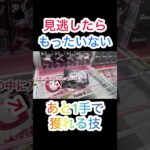 【ベネクス平塚】難しいカタチも一発逆転できる方法を解説！諦めないで試してみて！ #クレーンゲーム #ufoキャッチャー #クレゲ #ゲームセンター #ゲーセン #橋渡し