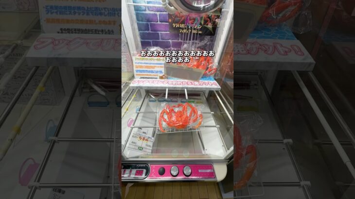 静岡のゲームセンターがヤバすぎた　#クレーンゲーム #ufoキャッチャー #ゲームセンター #静岡