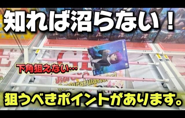 【 クレーンゲーム 】知らないと沼です！狙うべきポイントを見極めて！【 ベネクス平塚店 ufoキャッチャー 】