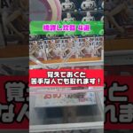 【 クレーンゲーム 】知れば獲れるようになります！橋渡し攻略４選！#クレーンゲーム #ufoキャッチャー