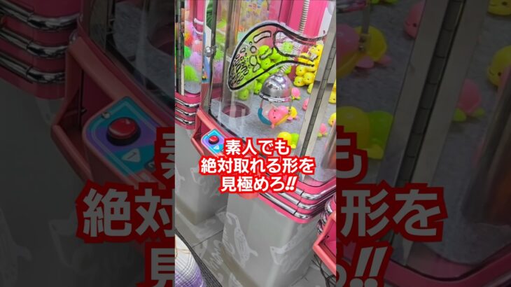 景品の形に要注意!!ミニ台攻略!?素人でも絶対に取れる #ゲームセンター #クレーンゲーム #ゲーセン #ufoキャッチャー #clawmachine