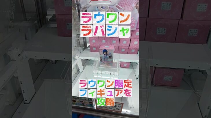 【クレーンゲーム】ほのぼのクレゲ！ラウンドワンのラバシャ設定を攻略！