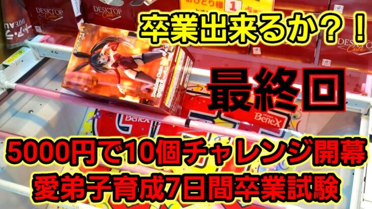 【趣味】超必見。クレゲは１週間で何処まで上達出来る？【クレーンゲーム】