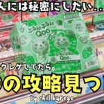 《クレーンゲーム》まさか！？クレゲをやり続けた結果…アレの攻略見つけちゃった！？《 万代書店長野店 》