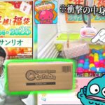 詳細不明の『サンリオ福袋』って何が入ってるん!?【オンラインクレーンゲーム、ハンギョドン推し】