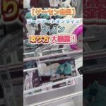 【ゲーセン定員が挑戦】ソードアートオンライン シノンの縦長景品の取り方大暴露！【山梨 クレーンゲーム 倉庫系】