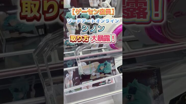 【ゲーセン定員が挑戦】ソードアートオンライン シノンの縦長景品の取り方大暴露！【山梨 クレーンゲーム 倉庫系】