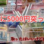 【雑貨】ってゲーセンいる時はワクワクするのに、帰ったら蛙化するよね