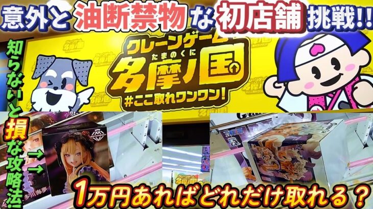 [クレーンゲーム] 多摩丘陵に出現した巨大ゲーセンで初挑戦！1万円あればどれだけ取れるのか！？ [ユーフォーキャッチャー]