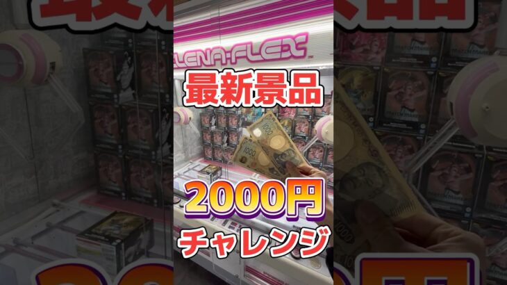 【最新景品】ゴテンクスと魔人ブウを2000円以内に獲りたい！#クレーンゲーム #ufoキャッチャー #ドラゴンボール