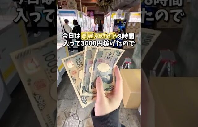 【クレーンゲーム】日雇いバイトで3000円稼げたので、ゲームセンターに行ってきました。