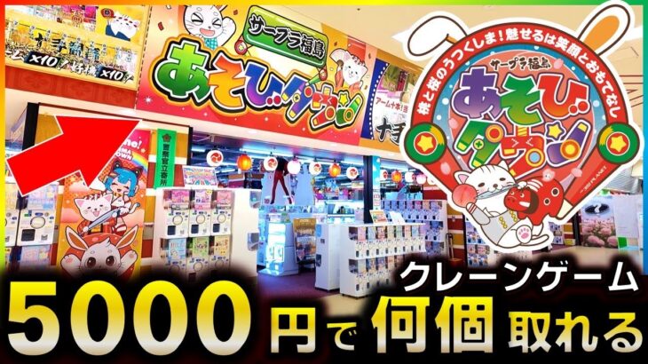 【クレーンゲーム】5000円で何個取れる！？サープラ福島あそびタウンを調査した結果、とんでもないクレゲ機と遭遇したwww【UFOキャッチャー】