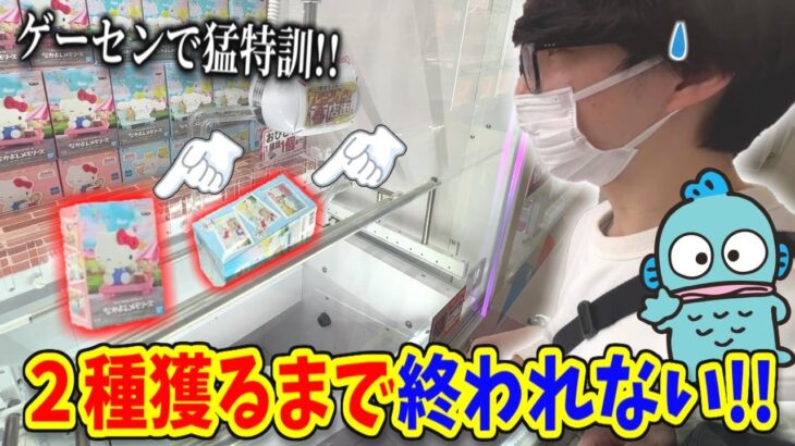 【サンリオ】目指せクレーンゲーム上達！全ては推しハンギョドンのために…‼︎【UFOキャッチャー】