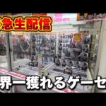 【クレーンゲーム】世界一獲れるゲーセン！大赤字確定の獲り方で新景品を獲り尽くせ！【回遊館養父店・UFOキャッチャー】