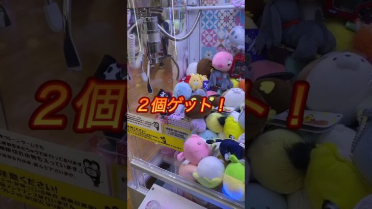 ２個ゲット❗️#shorts #クレーンゲーム #クレーンゲーム攻略 #claw machine japan #日本夾娃娃 #おたちゅう #arcade games #clawmachine