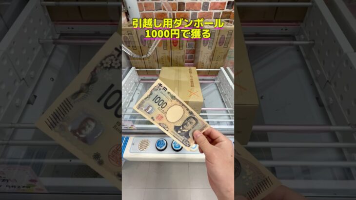 引越し用品をゲーセンで調達 #shorts #クレーンゲーム #ufoキャッチャー #cranegame #お菓子