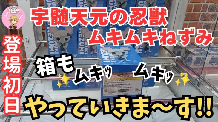 【夫婦でクレーンゲーム】登場初日に回遊館養父店さんで新作を攻略してきました!! ＃クレーンゲーム ＃クレーンゲームフィギュア ＃回遊館養父店 ＃ufoキャッチャー