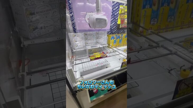 【札幌で一番取れる倉庫系ゲーセン】　#クレーンゲーム #クレーンゲーム動画 #ゲームセンター #ufoキャッチャー