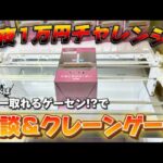 【1万円チャレンジ？】ちいかわのコロコロが欲しいんよ…!  LIVE IN METOKYO SHINJUKU