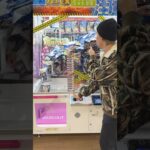 1ヶ月分のポテチを取ってみた #ufoキャッチャー#ゲーセン #ゲームセンター  #arcade #clawmachine #日本夾娃娃
